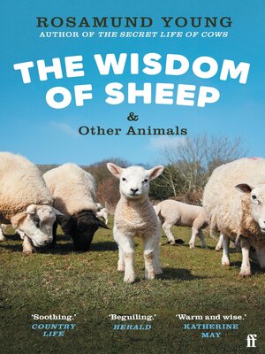 cover image of The Wisdom of Sheep & Other Animals